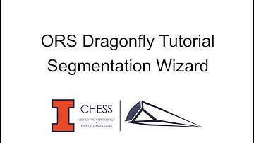 Dragonfly Segmentation Wizard Tutorial