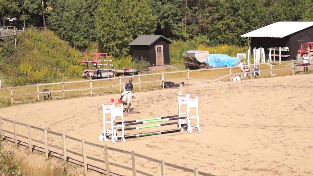 Amazing grey Lätt:C NTR  2/9