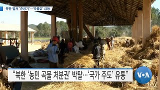 [VOA 뉴스] 북한 벌써 ‘춘궁기’…‘곡물값’ 급등