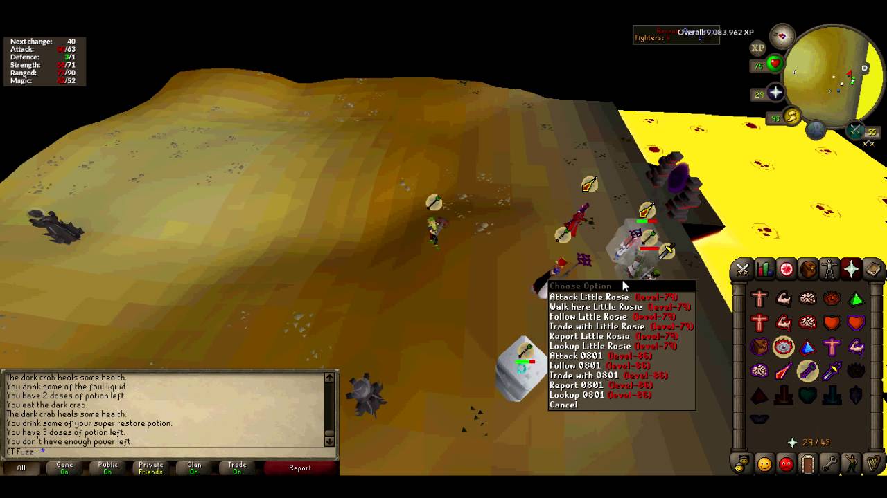 Purgatory Vs Rabid Lounge 5v5 Second Round [Runescape 2007 Pure Mini War]