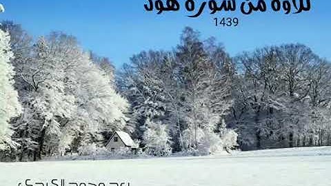 سورة هود كاملة.رعد الكردي
