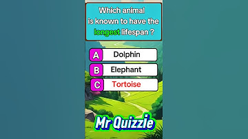 #knowledgequiz #mindbendingquiz #quiz #quiztime #quizchallenge #challenge #trivia #triviatricks