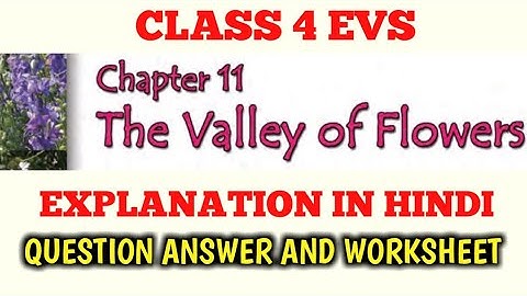 The Valley of Flowers Class 4th evs chapter 11 | Explanation in Hindi | Worksheet| NCERT Class 4 EVS