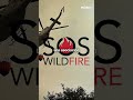 ¿Sabrías actuar ante un INCENDIO? Así es la iniciativa para que la POBLACIÓN haga frente al FUEGO