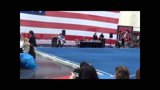Julia's level 8 Stars and Stripes meet