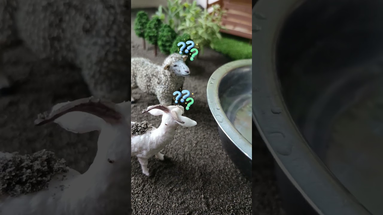 Washing Cute Sheep & Goat! 🚿🛁 Satisfying Farm Bath 