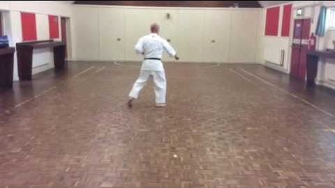 Slow Kata - Pinan Nidan [Shukokai Karate]