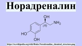 Норадреналин Норадреналин