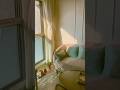 #homedecor #simplyserene #interiordesign #shortvideo #simpleliving