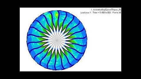 BIRD STRIKE ANALYSIS GE90-115b