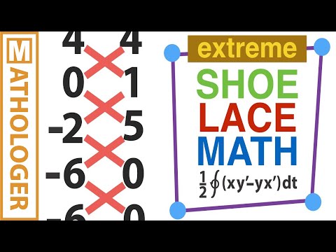 Gauss's magic shoelace area formula and its calculus companion