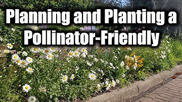 Planning and Planting a Pollinator-Friendly Garden