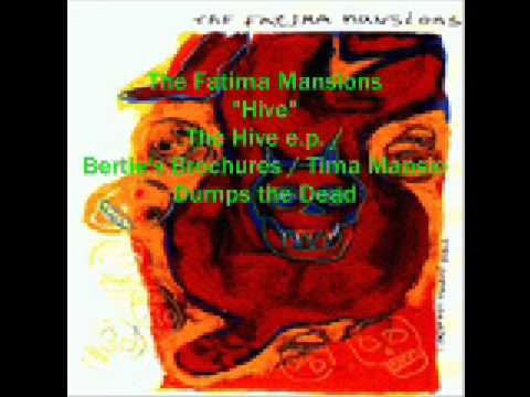 The Fatima Mansions - Hive