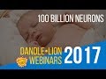 100 Billion Neurons