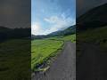 緑のトンネル抜けたら…#バイク #絶景ツーリング #岡山県 #アヒルカーの旅
