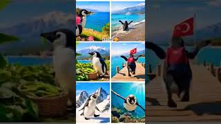 #antalyakemer #instagood #love #penguin #phaselis #olimposteleferik  #russia #germany #turkey #sun