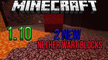 Minecraft 1.10 News - 2 New Nether Wart Blocks