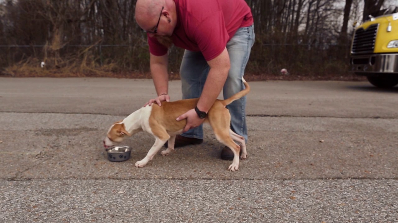 fromm dog food where to buy FROMM February sale - You Buy, We Give