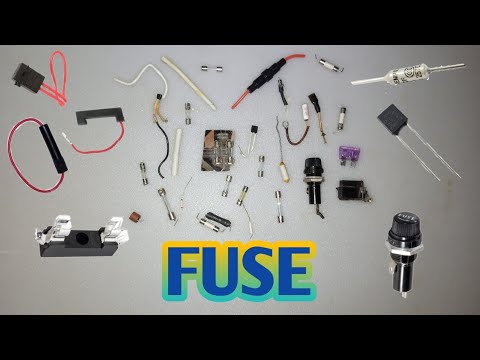 Fuse and Fuse holder