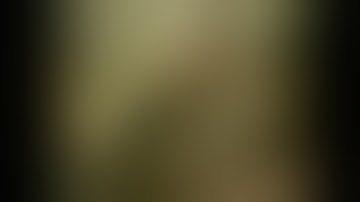 1980 Hog Slaughter, Mayberry, Md.