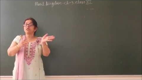 Bio-XI-3-01 Plant Kingdom,  Pradeep Kshetrapal channel