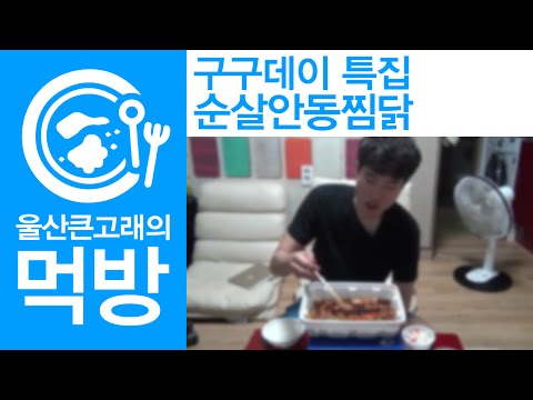 [울산큰고래의 먹방] 구구데이 특집: 순살안동찜닭 먹방 - BIGWHALE Eating Show: Braised Spicy Chicken with Vegetables