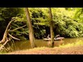 Devils Knot 1 2014 Colin Firth Reese Witherspoon Movie Hd