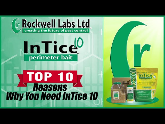 Intice - Get It Good