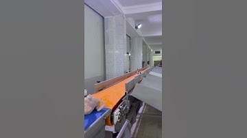 High-Efficiency Weight Sorting Scale for Chicken Processing