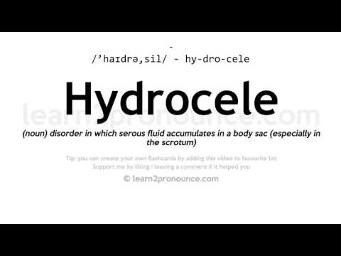 Video: Hvad er en hydracelle?