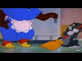 Tom  jerry the tom  jerry  classic cartoon compliacation