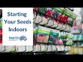 Starting your seeds indoors    royal city nursery