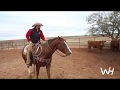 Working Ranch Horses