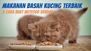 6 Makanan Basah Kucing Terbaik & Cara Buat Wetfood Kucing Sendiri