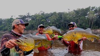 Expedição Sucunduri Amazon Fishing Lodge Os maiores Tucunares Pinima da Amazonia A casa dos Monstros