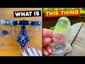 Bizarre Things People Found and Asked the Internet to Identify - r/whatisthisthing
