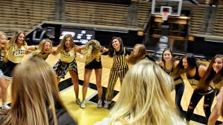 Delta Zeta of Purdue University | Recruitment 2017