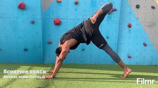 Ashar Fitness- Animal flow  LEVEL 1