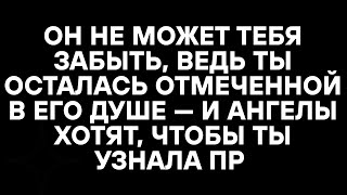 видео: ОН НЕ МОЖЕТ ТЕБЯ ЗАБЫТЬ, ВЕДЬ ТЫ ОСТАЛАСЬ ОТМЕЧЕННОЙ В ЕГО ДУШЕ — И АНГЕЛЫ ХОТЯТ, ЧТОБЫ ТЫ УЗНАЛА ПР картинка: ОН НЕ МОЖЕТ ТЕБЯ ЗАБЫТЬ, ВЕДЬ ТЫ ОСТАЛАСЬ ОТМЕЧЕННОЙ В ЕГО ДУШЕ — И АНГЕЛЫ ХОТЯТ, ЧТОБЫ ТЫ УЗНАЛА ПР