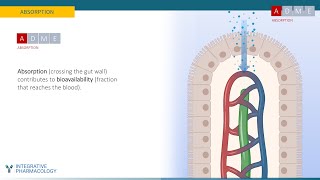 A Medicine's Journey: A Visual Introduction to Pharmacokinetics