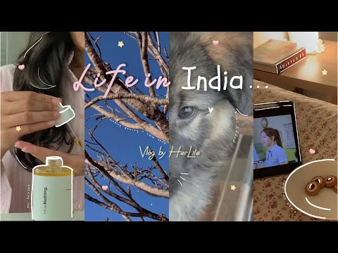 Intovert Diaries🪴🐇 ~New Skincare & Haircare, Plant shopping, Cozy night | Soft living | HerLife