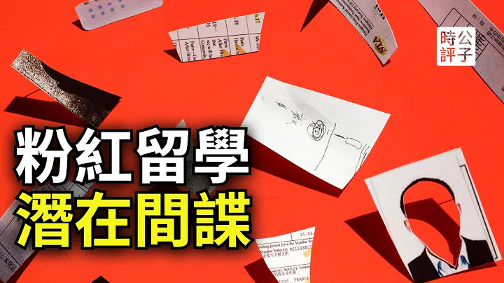 美國加拿大拒絕粉紅入境！首次判決中國學生都是潛在間諜！世界公敵待遇已經開啟，怪誰？愛國粉紅是中國人的出廠設置？ - 天天要聞