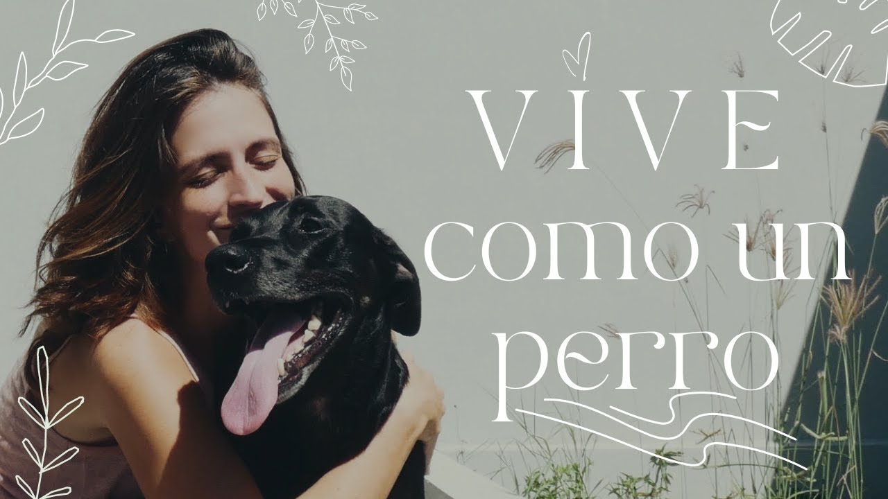 10 pasos para una vida sencilla (y FELIZ)🤍 | Cuando lo urgente quita tiempo a lo importante