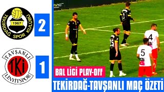 Tekirdağspor 2-1 Tavşanlı Linyitspor Maç Özeti Bal Play-Off Maçı