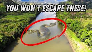 One Day in the Amazon: Can You Make It Out Alive?