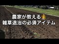 【農家の草退治】【家庭菜園】農家も使う草取り必須アイテム