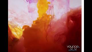 Radyo Voyage Dünya Şiir Gününü Kutlar World Poetry Day