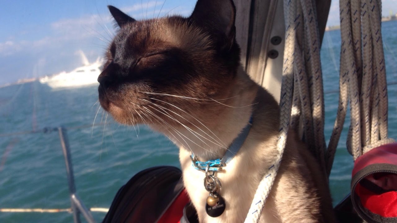 BRUCE KAPHAN ~ Homage (Pour La Grande Fromage)