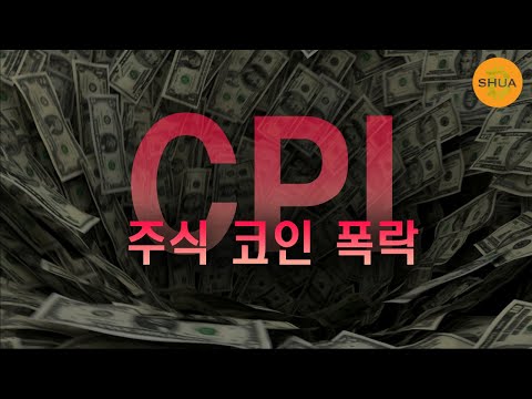 CPI 인플레이션 발표에 폭락 ㅠㅠ 그럼 금리는?