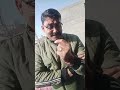 sirf paisa #shorts #shortvideo #comedy #viralvideo